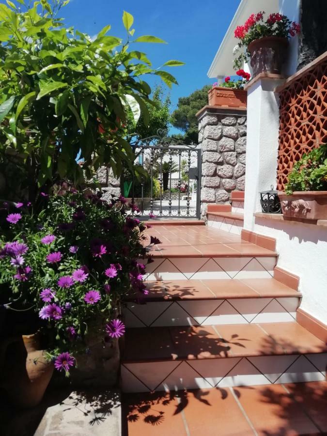 Capri Sea View Villa Buitenkant foto